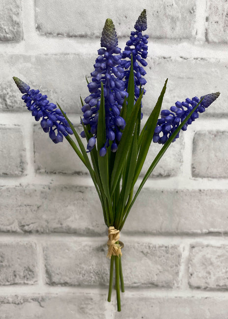 10.5" Purple Muscari Bundle