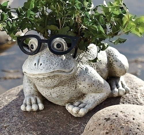 6" Frog w/Glasses Planter