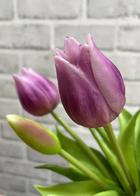 10" Lavender White Fresh Touch Mini Tulip Bundle