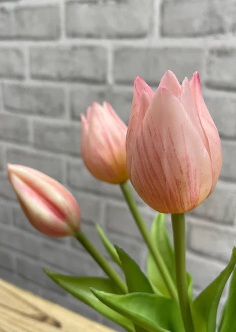 10" Pink Fresh Touch Mini Tulip Bundle