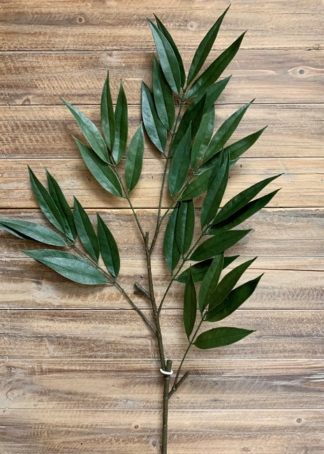 42" Green Willow Spray