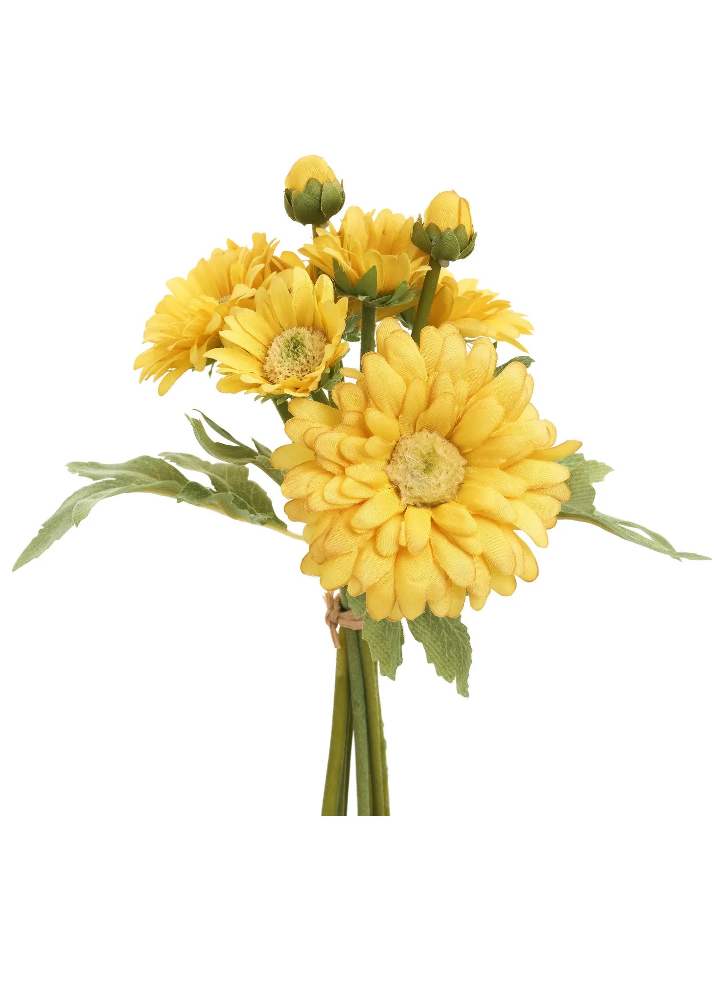 Yellow Chrysanthemum Bush