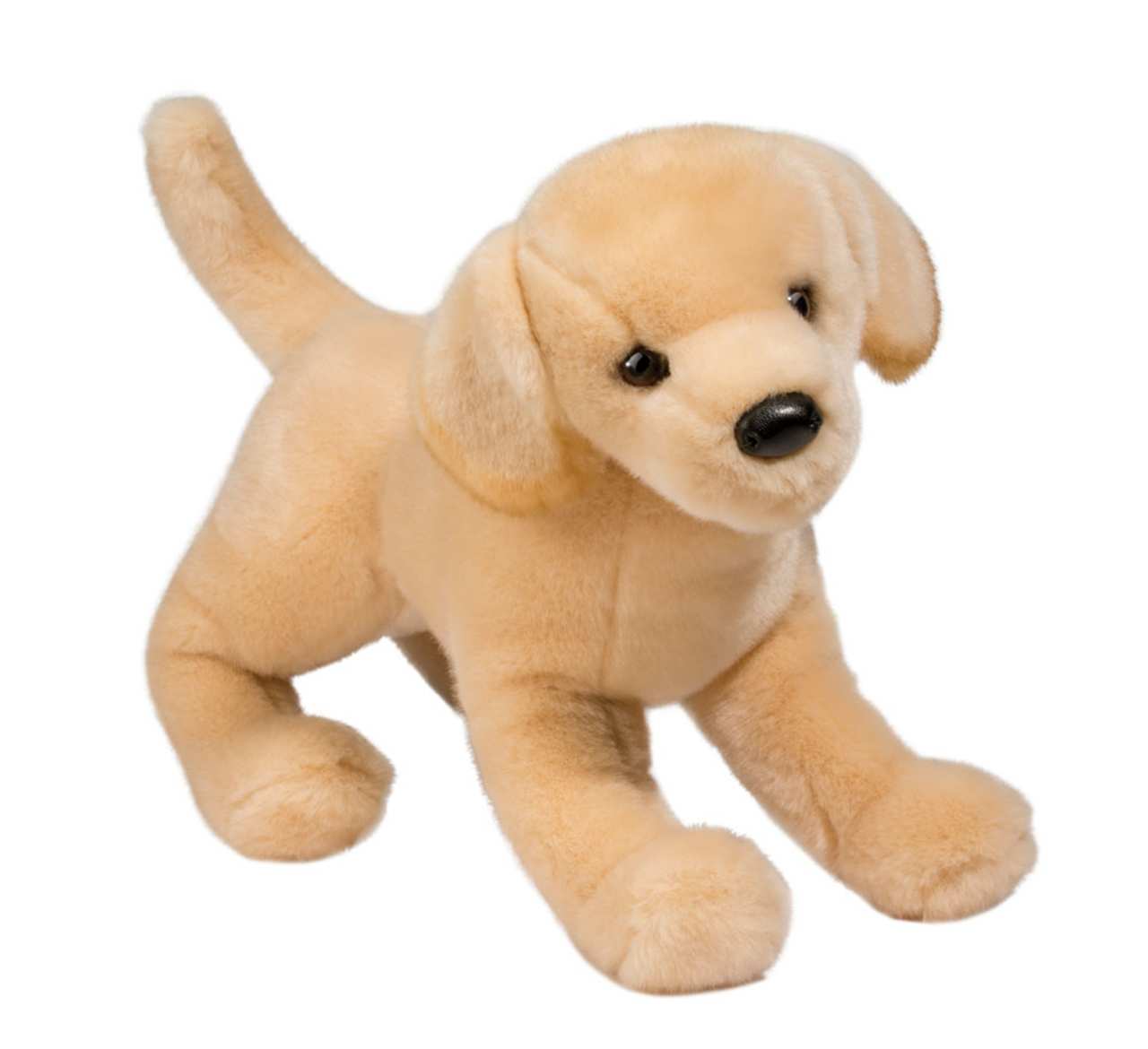 Mandy Yellow Lab
