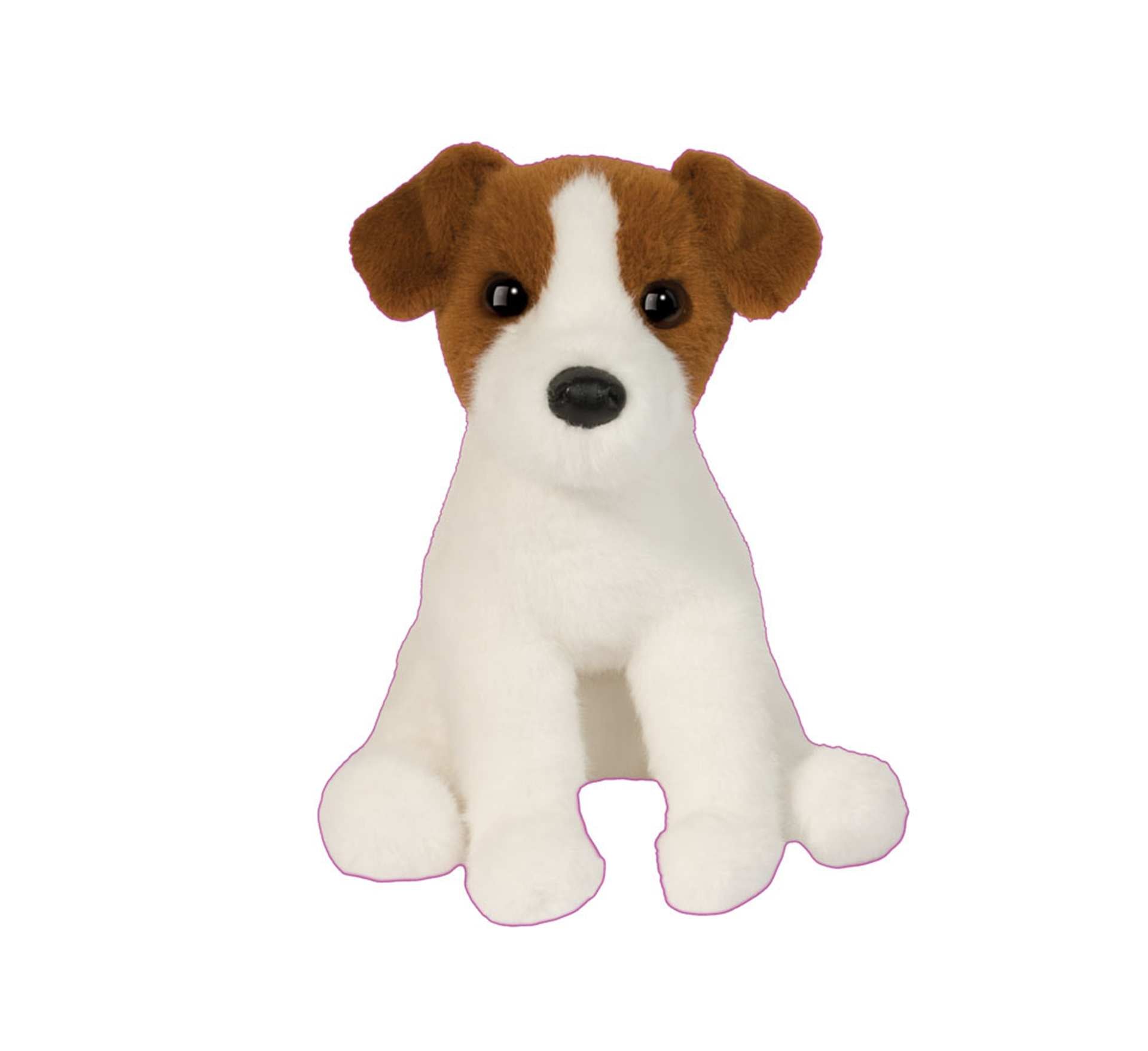 Fiona, Jack Russell Terrier