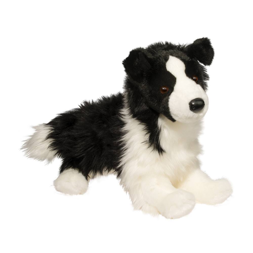 Chase, Border Collie