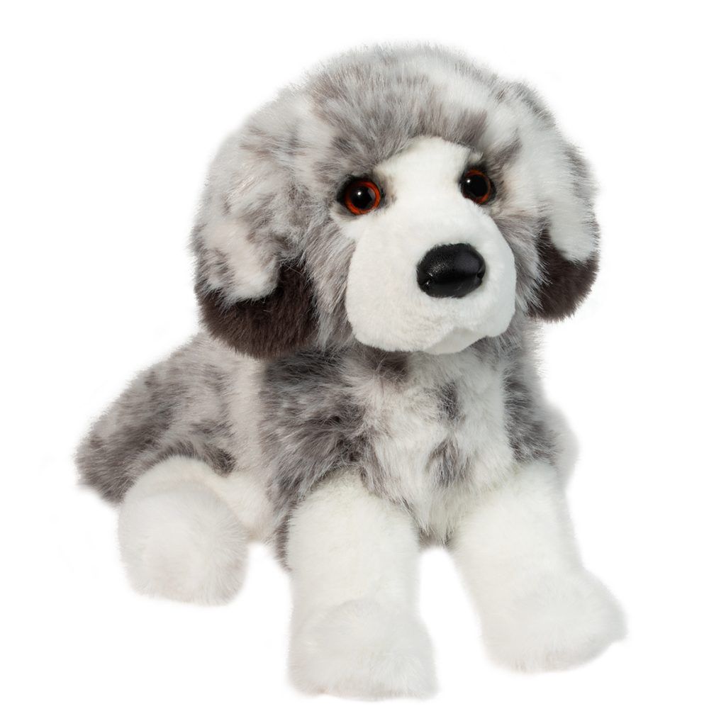 Skylar Australian Shepherd