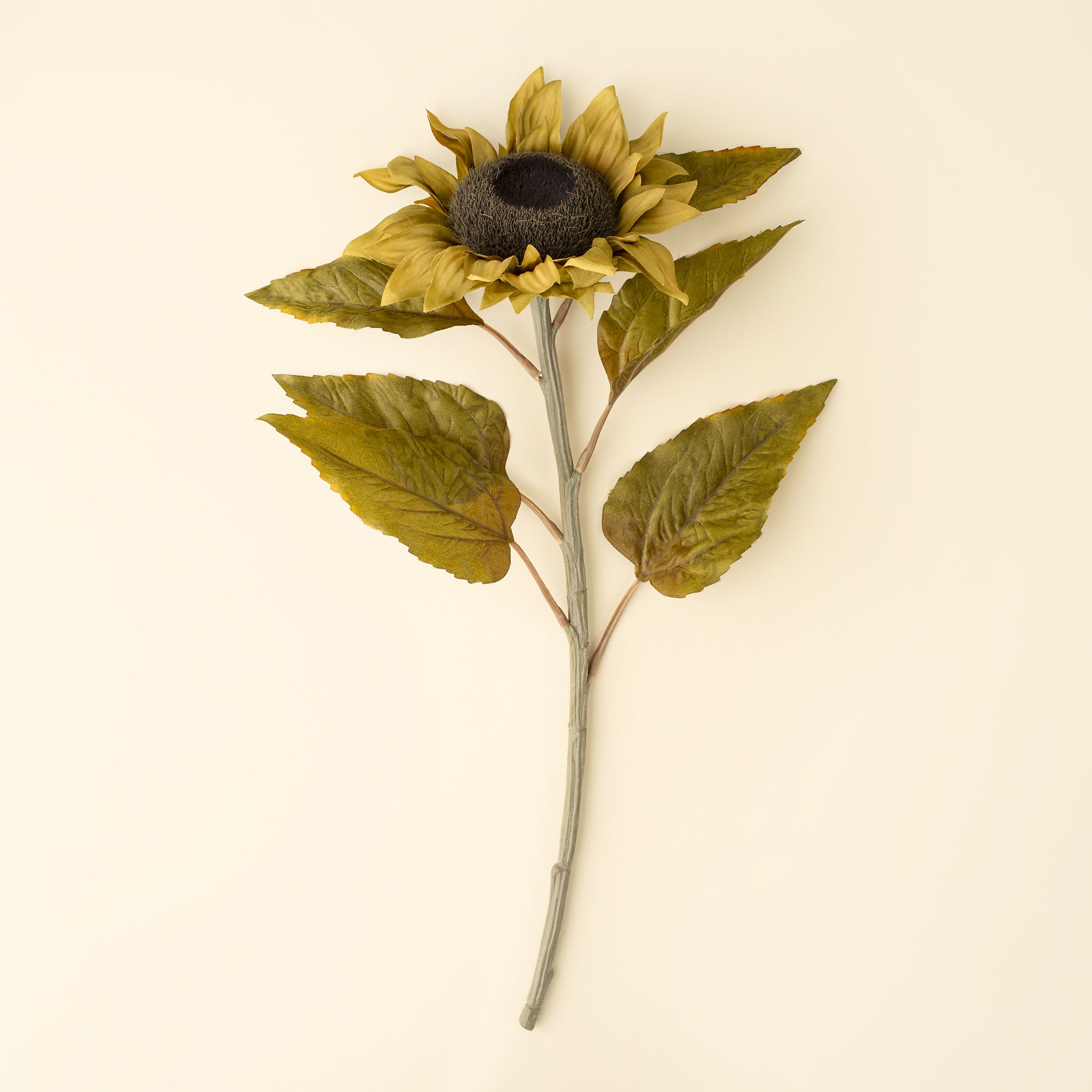 Harvest Sunflower Stem, Vintage Yellow