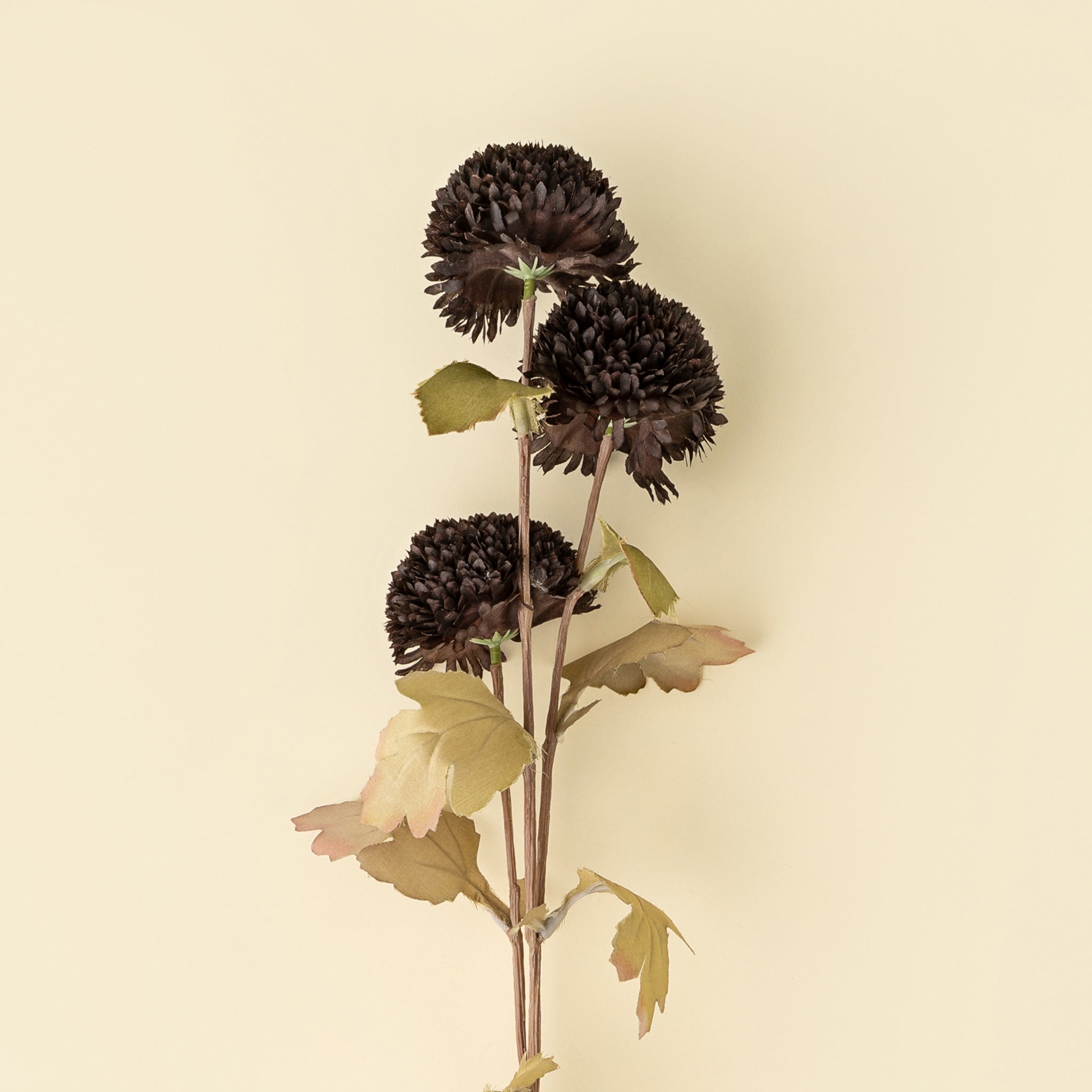 Pom Pom Floral Spray, Midnight