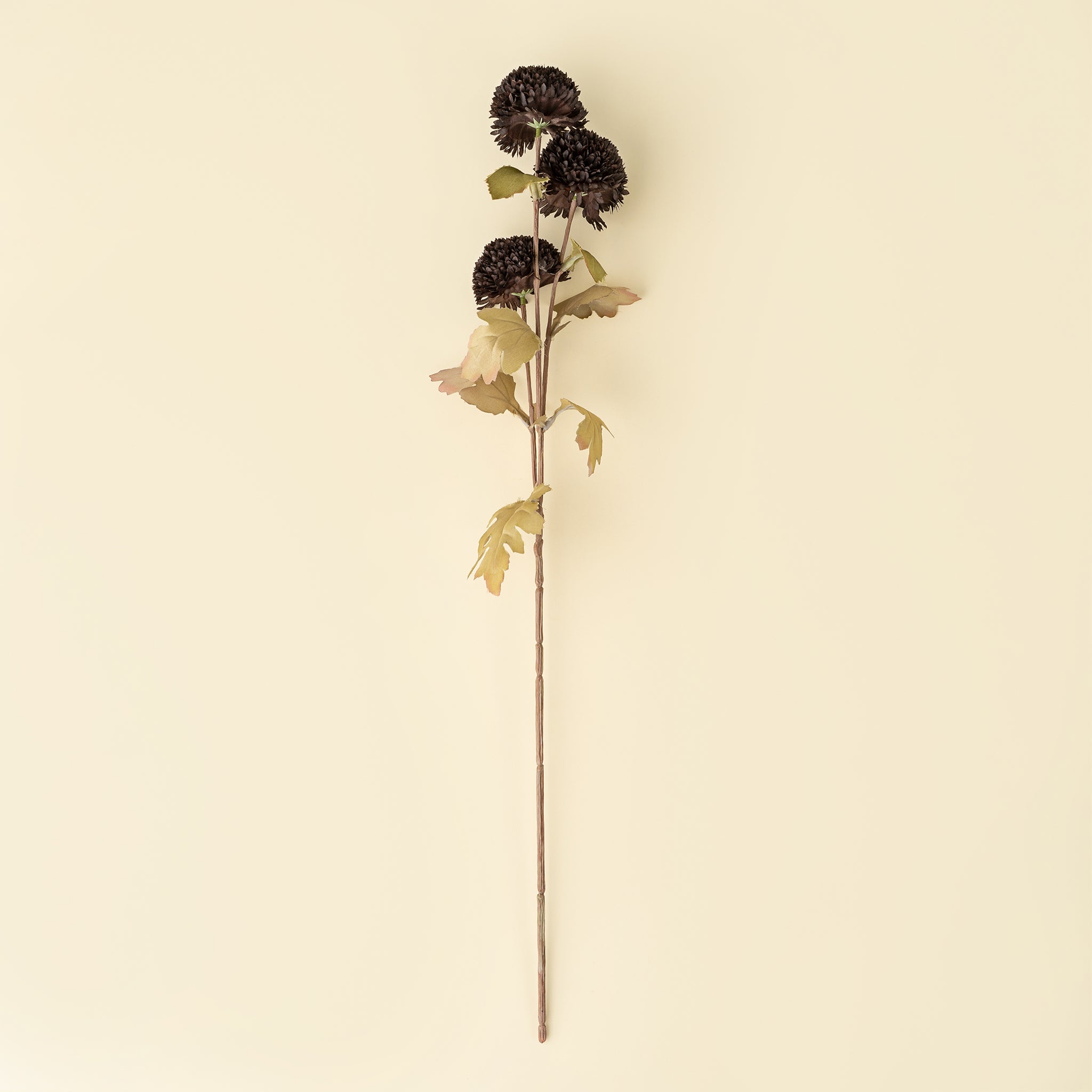 Pom Pom Floral Spray, Midnight