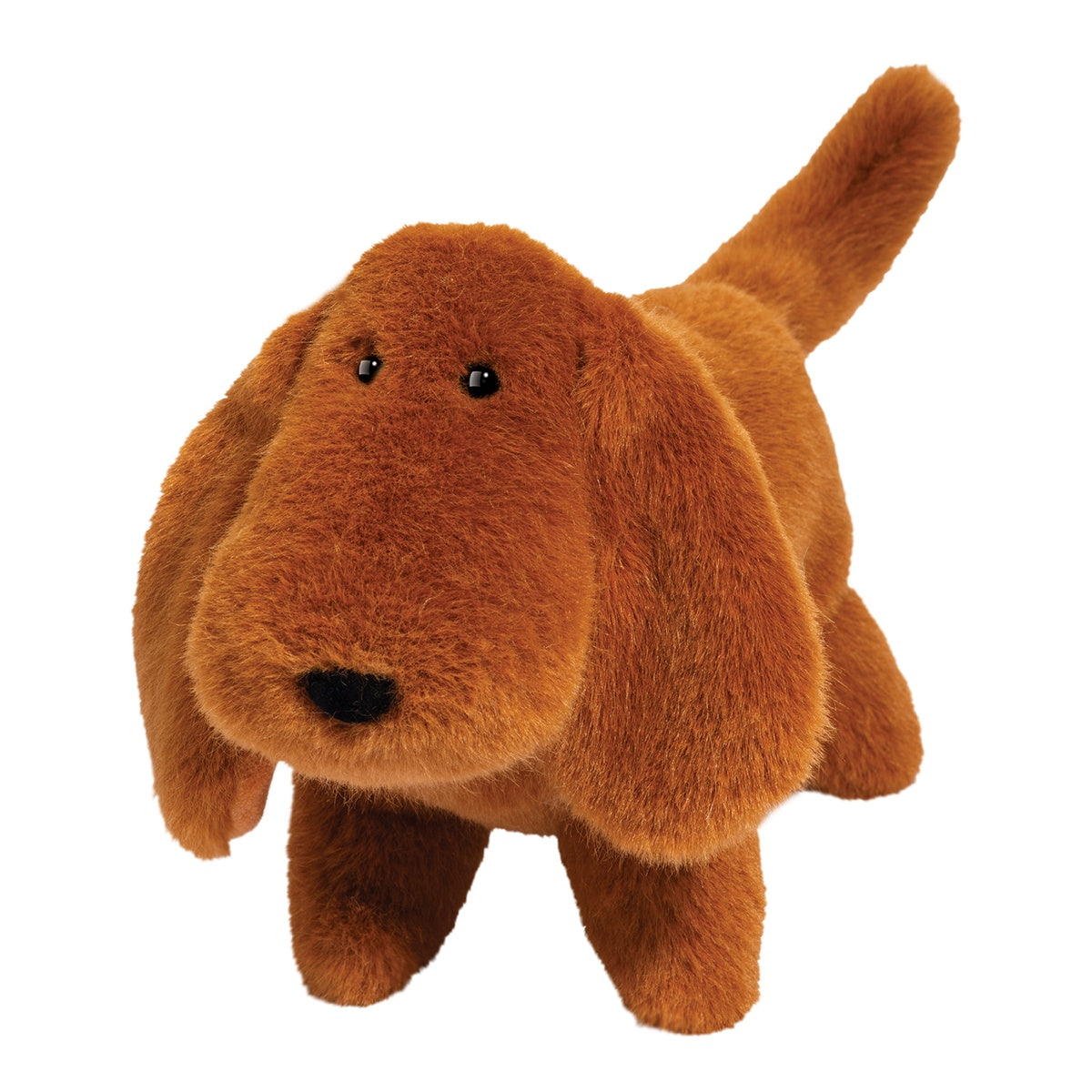 Dale, Dachshund Muzzle
