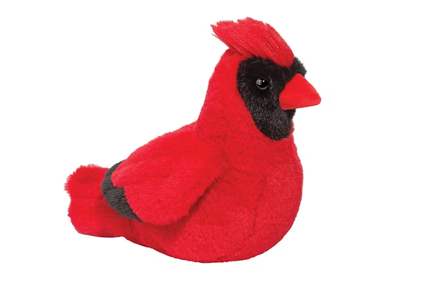 Carlie, Cardinal Soft