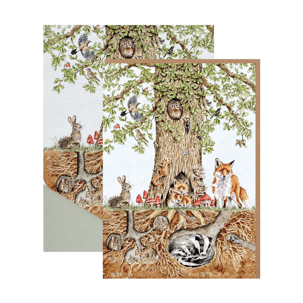 Nature Notecard 8 Pack, Wild Woodland - Wrendale