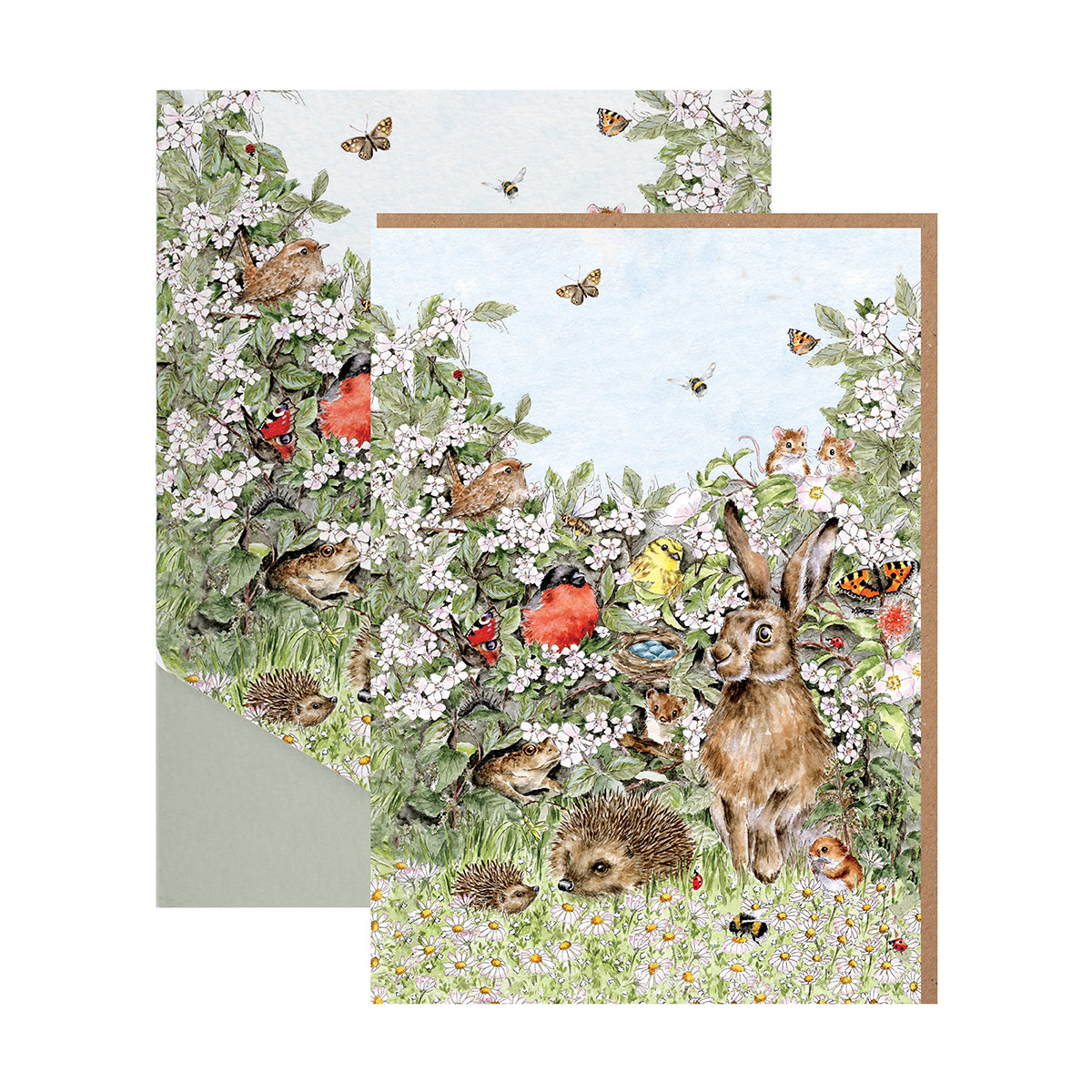 Nature Notecard 8 Pack, Hidden in The Hedgerow - Wrendale