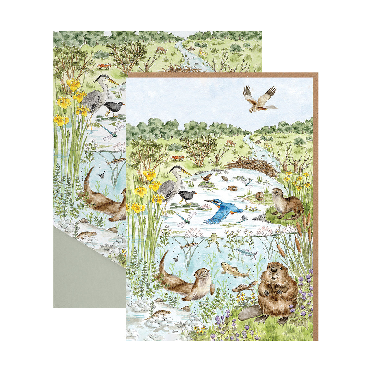 Nature Notecard 8 Pack, The Riverbank - Wrendale