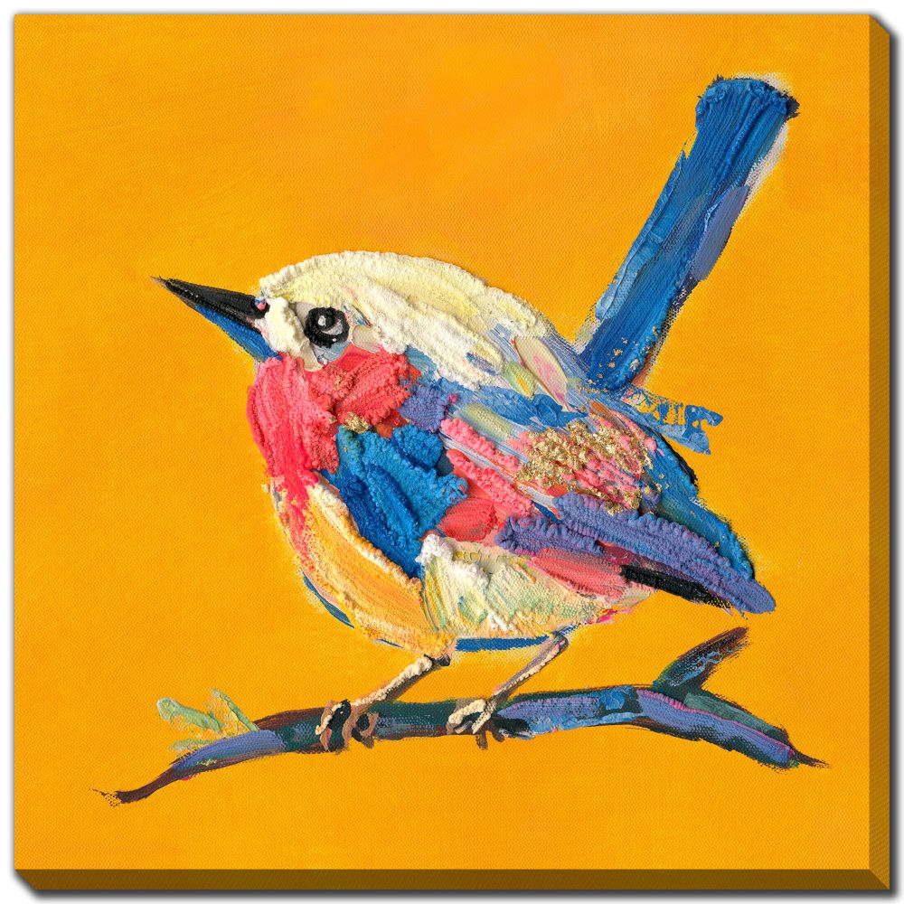 Bold Plumage 16x16, 3 Styles
