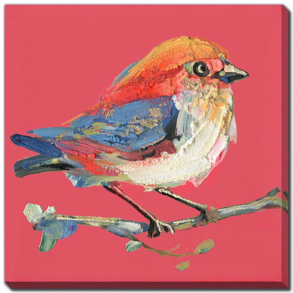Bold Plumage 16x16, 3 Styles