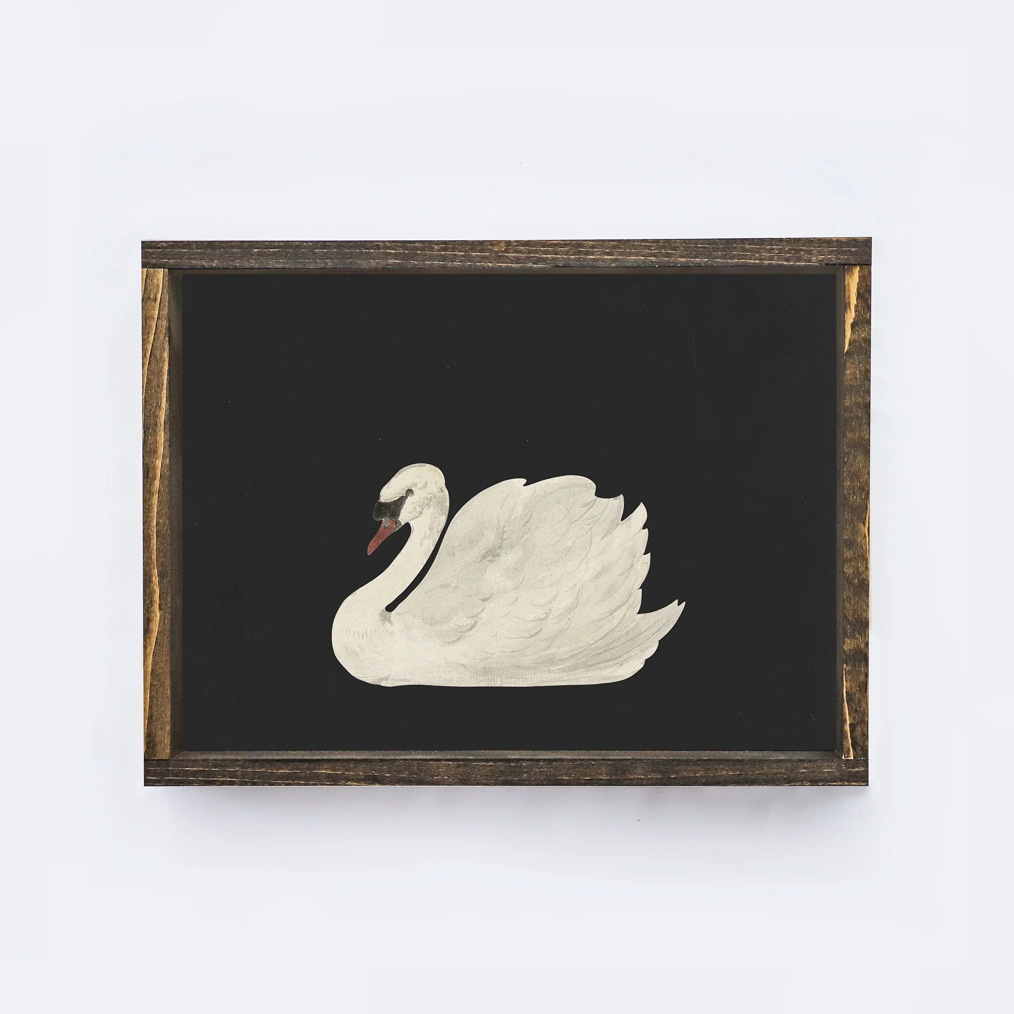 Vintage Print Framed | Antique Swan Painting, 8.5x7"