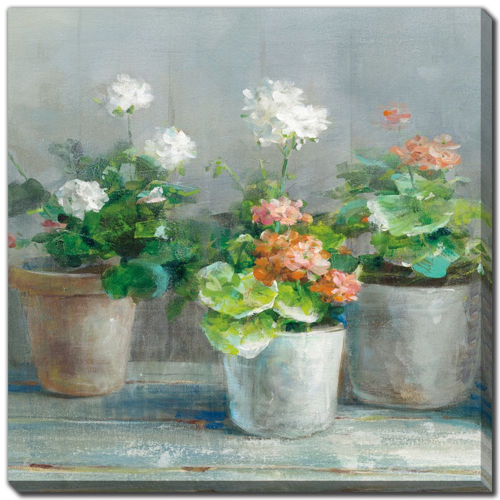 Farmhouse Geraniums II 24x24