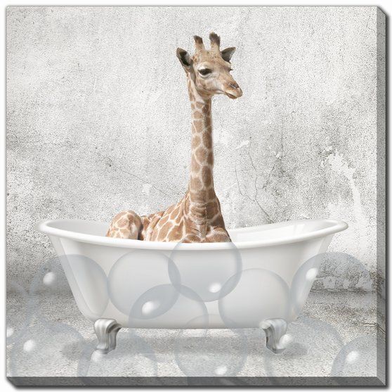 Baby Animal Bath Print, 18x18