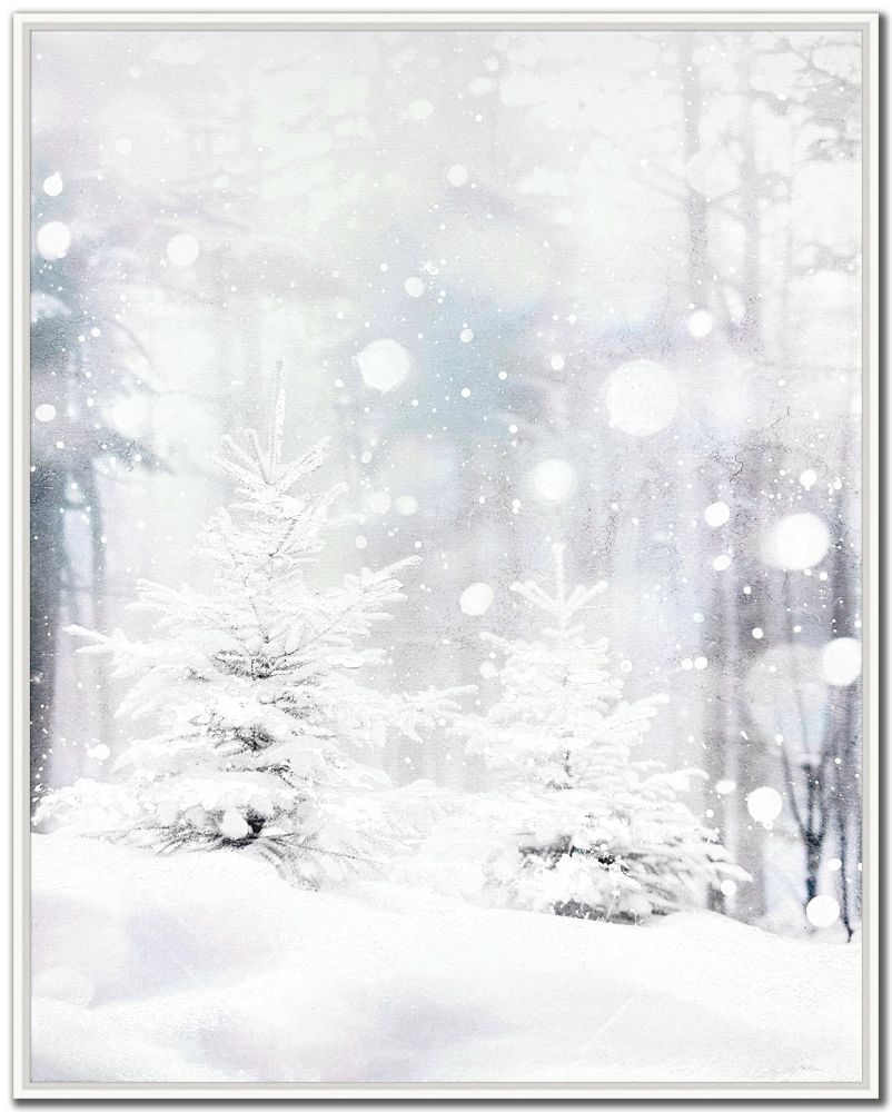 Whispers Of Winter, 20x24 Canvas, Framed