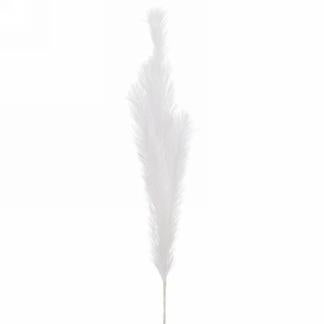 White feather stem