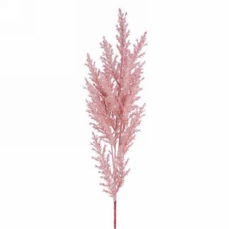 Pink graminae stem