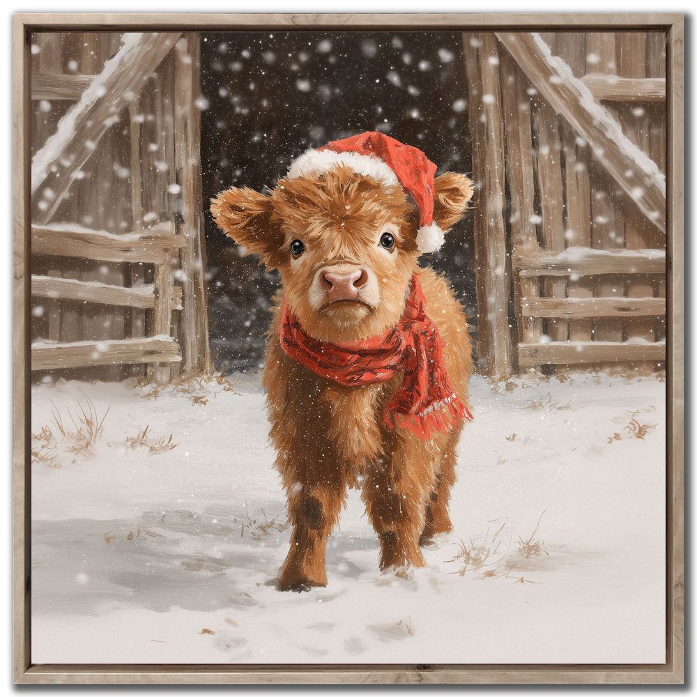 Highland Calf Santa, 24x24 Canvas, Framed