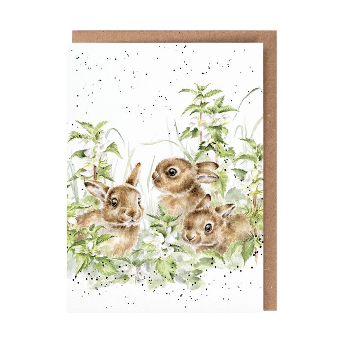 'Undergrowth' Bunnies Single Card