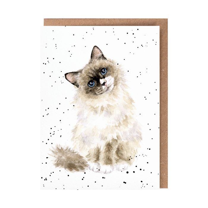 'Paws for Thought' Cat Single Card