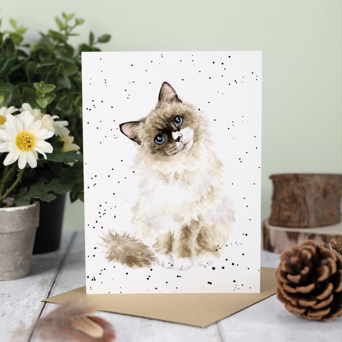 'Paws for Thought' Cat Single Card