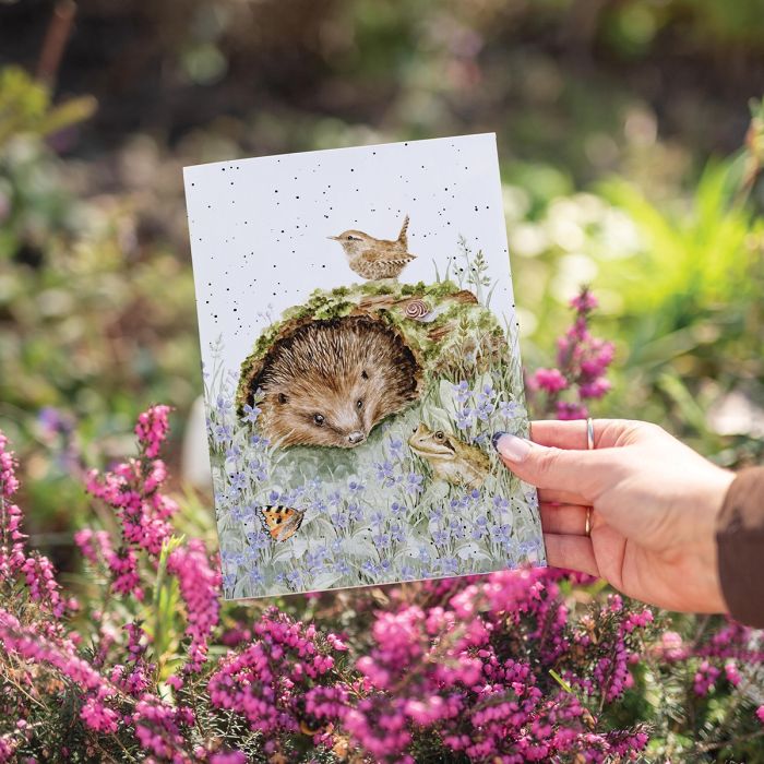 'The Wild Patch' Single Card