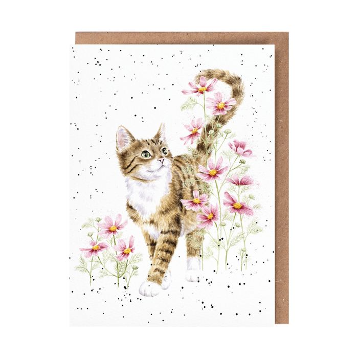 'Harmony' Cat Single Card