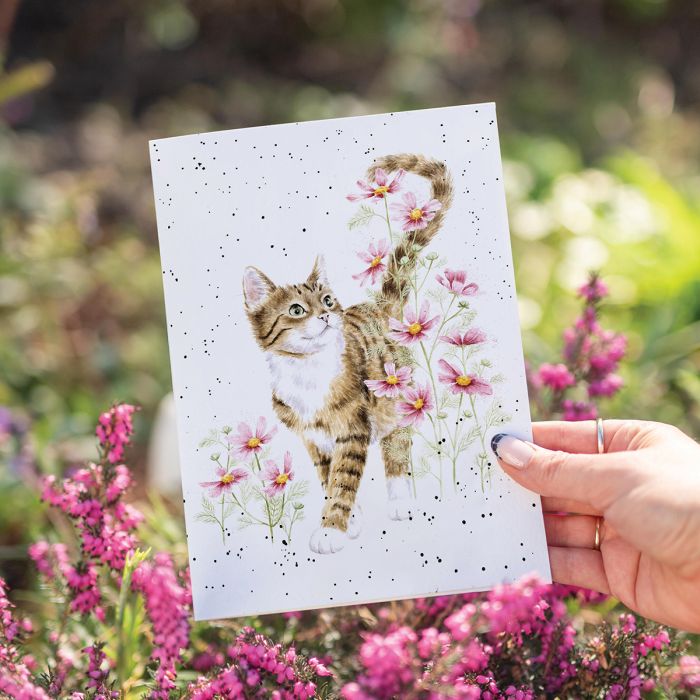 'Harmony' Cat Single Card