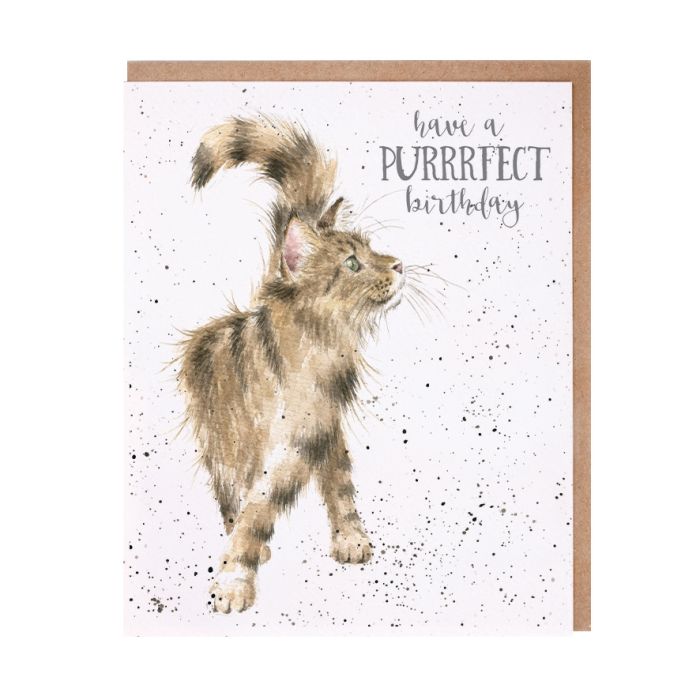 'Just Purrfect' Cat Birthday Single Card