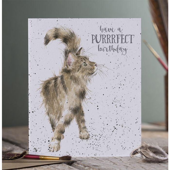 'Just Purrfect' Cat Birthday Single Card