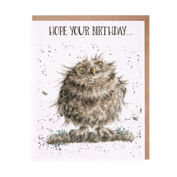 'You're A Hoot' Owl Birthday Single Card
