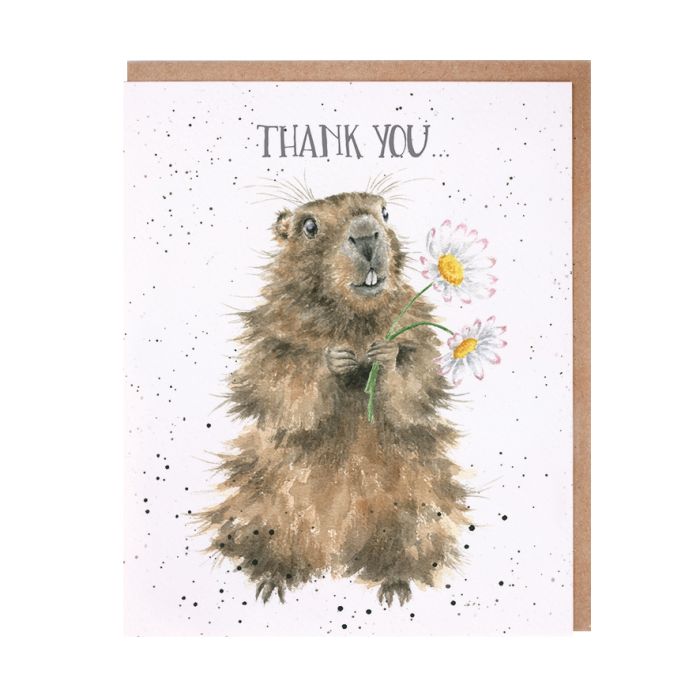 'Thank You' Marmott Single Card