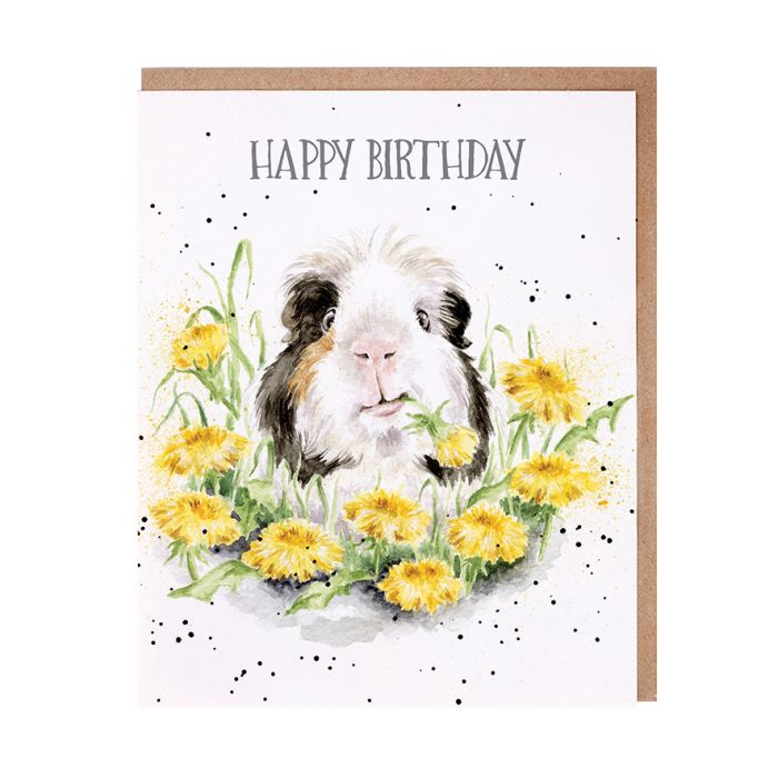 'Dandy Day' Birthday Ginea Pig Single Card