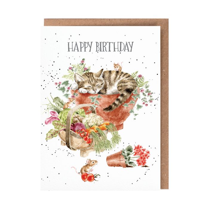 'Purrrfect Birthday' Cat Single Card