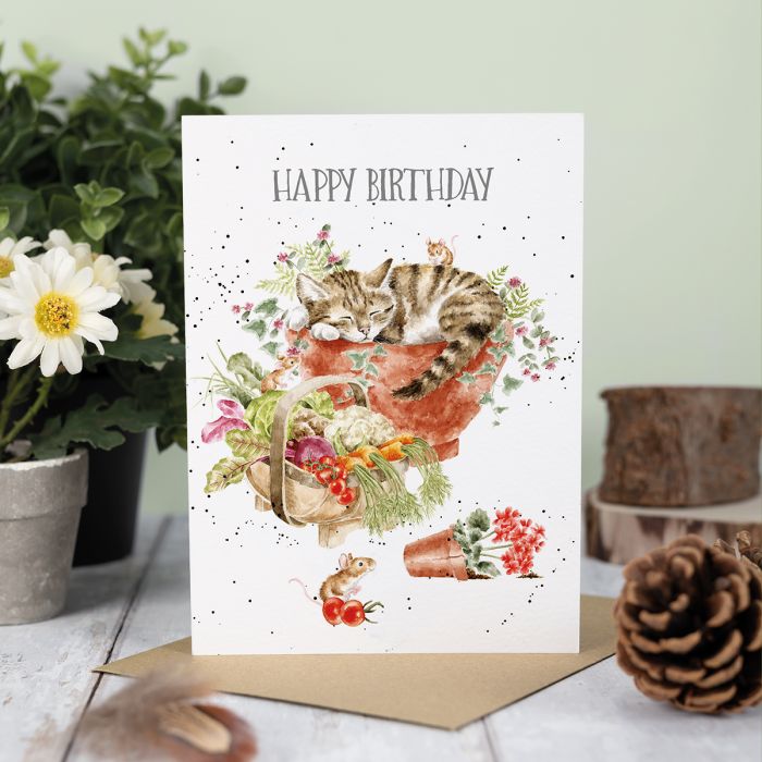 'Purrrfect Birthday' Cat Single Card