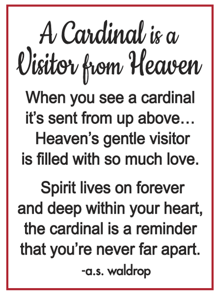 A Cardinal is a Visitor from Heaven Charm
