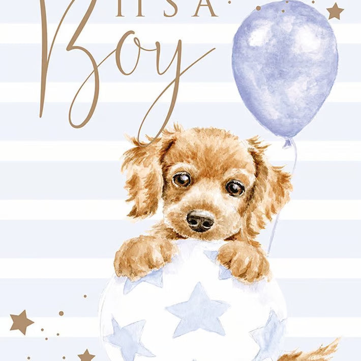 Baby Boy 'Bouncing Boy' Puppy Single Card Gold foiled