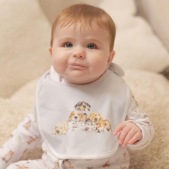 Little Paws, Dog Bib Set