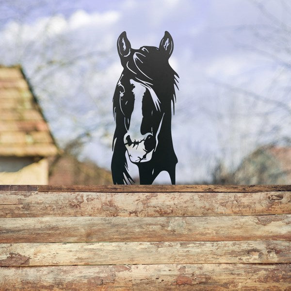 Serious Horse, Metal Wall Art