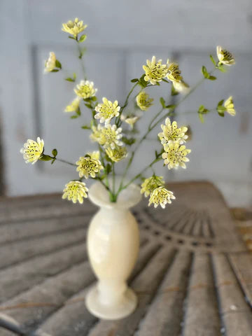 17" Favoured Florets Bush, Cream