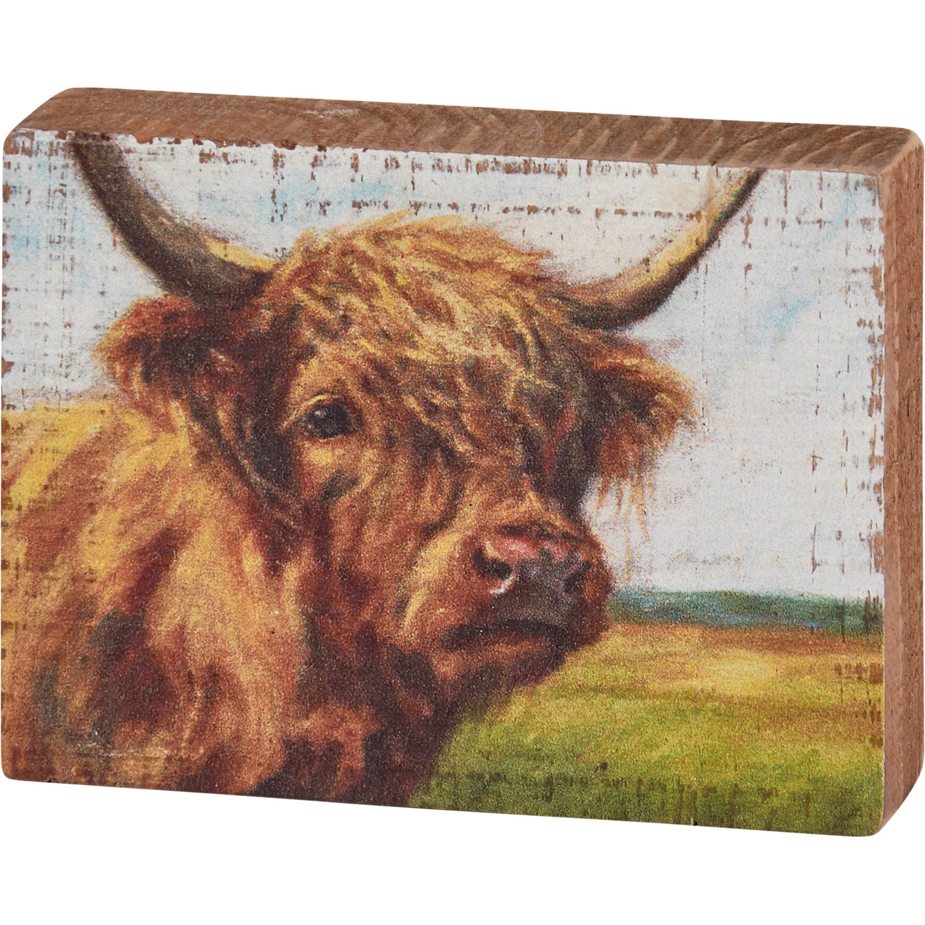 Block Sign - Highland Cow