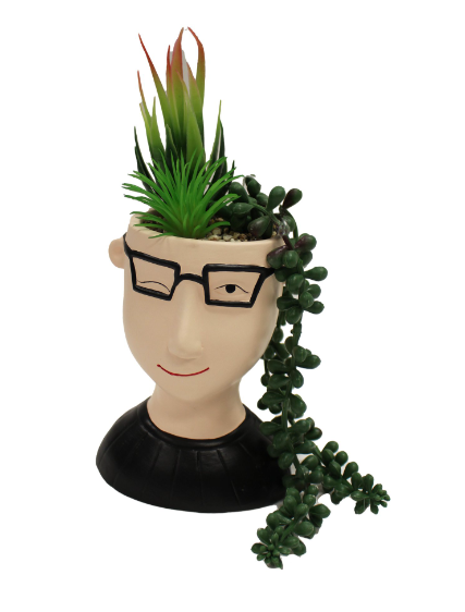 Ceramic Potted Succulent Head